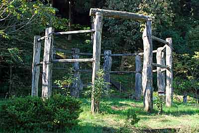  桜町遺跡の環状木柱列