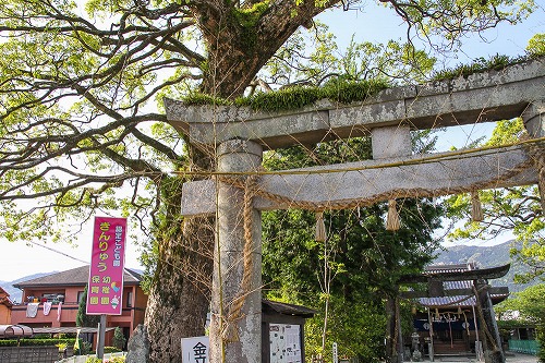 佐賀県　金立神社