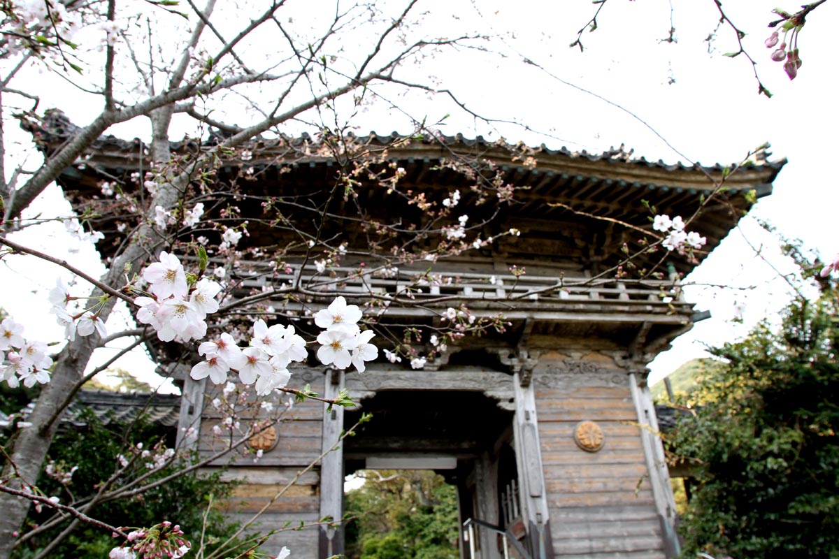 古代長崎の中心　野母崎の観音寺